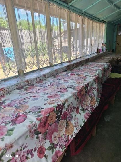 Casă cu 3 camere cu Teren 1686 Mp în Central