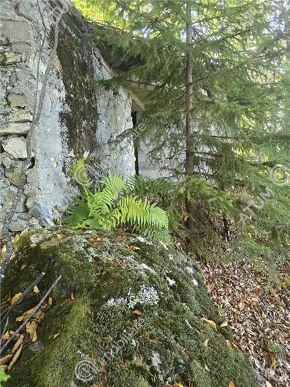 Teren intravilan de 5134 mp, în Malaia