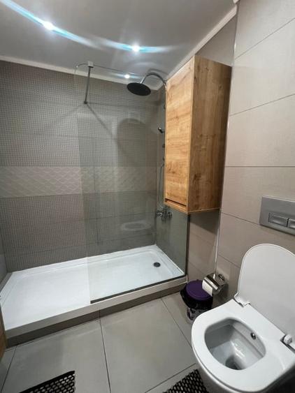 Apartament Victoriei -  Banu Manta - 9