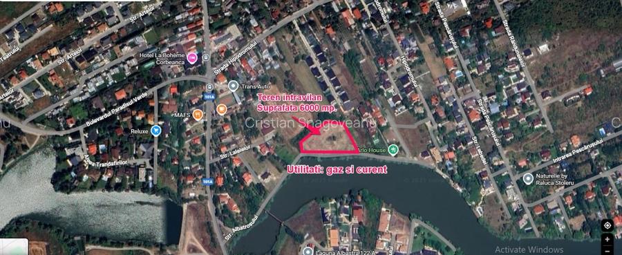 Teren intravilan langa lac padure locatie superba Corbeanca