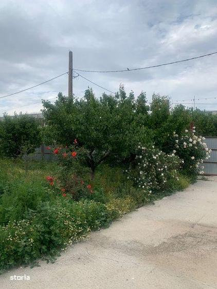 Vand cladire +camere de locuit si anexe - 6