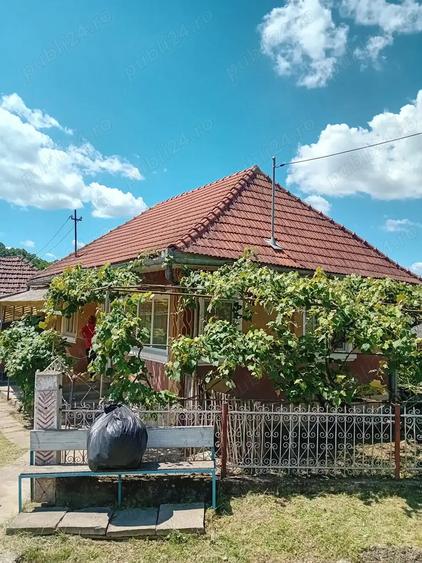 Vand casa la ?ara - 4