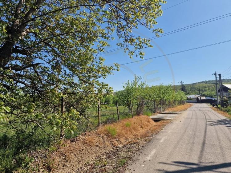Teren Construcții intravilan de 1688 mp, în Călinești