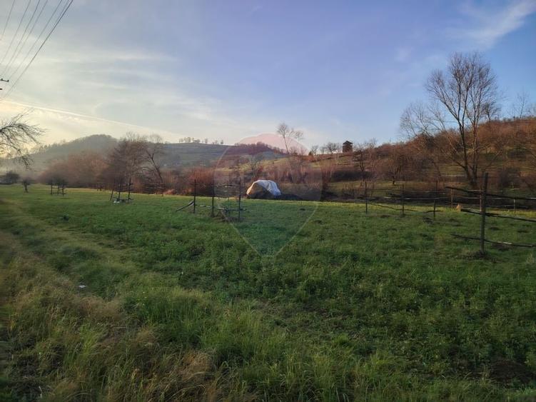 COMISION 0%  Teren intravilan de vanzare in Barsana (26 ARI) - 1