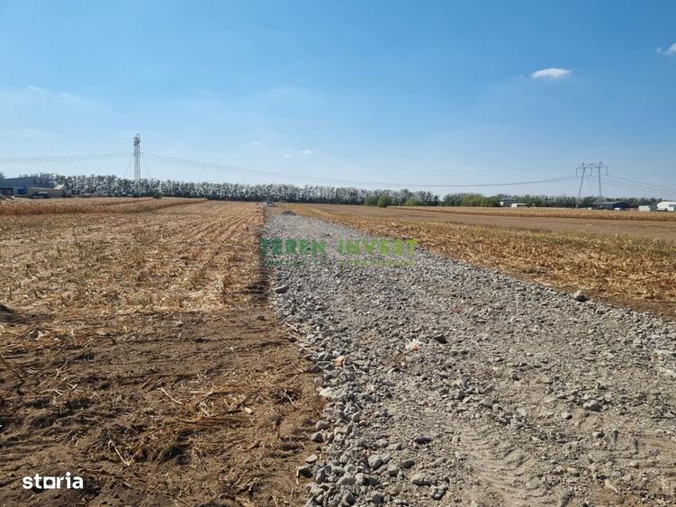Teren industrial Pope?ti, 10.800 m2, utilita?i gaz ?i curent - 2