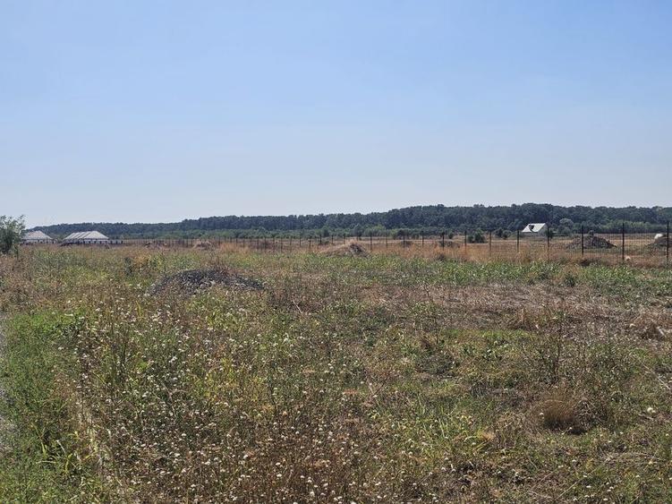 Teren în rate la dezvoltator | toate utilitatile | Acces A0 și DN1 - 4