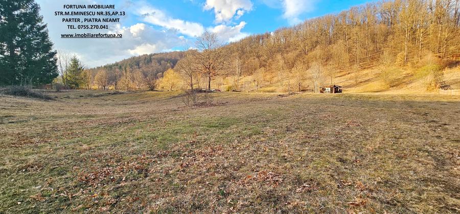 Teren ideal Casa de vacanta/Pastravarie, sat Cuejdiu,com.Garcina - 3