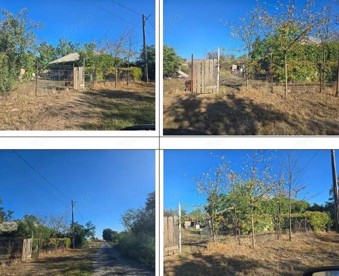 Casa si teren-Com Tamadau Mare, jud. Calarasi - 3