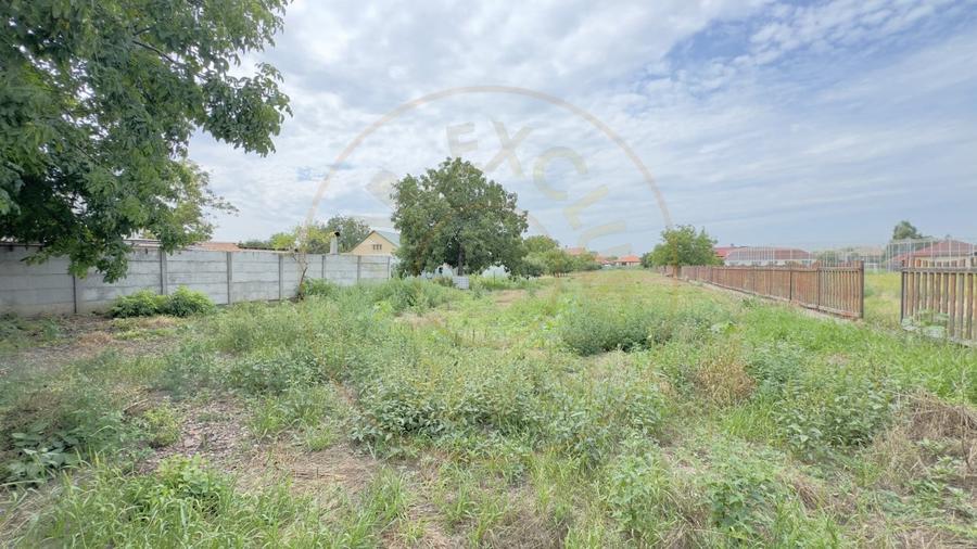 Casa 4 camere, Teren 3.489 mp Str.Petofi Șandor Nr.99 - Carei - 3