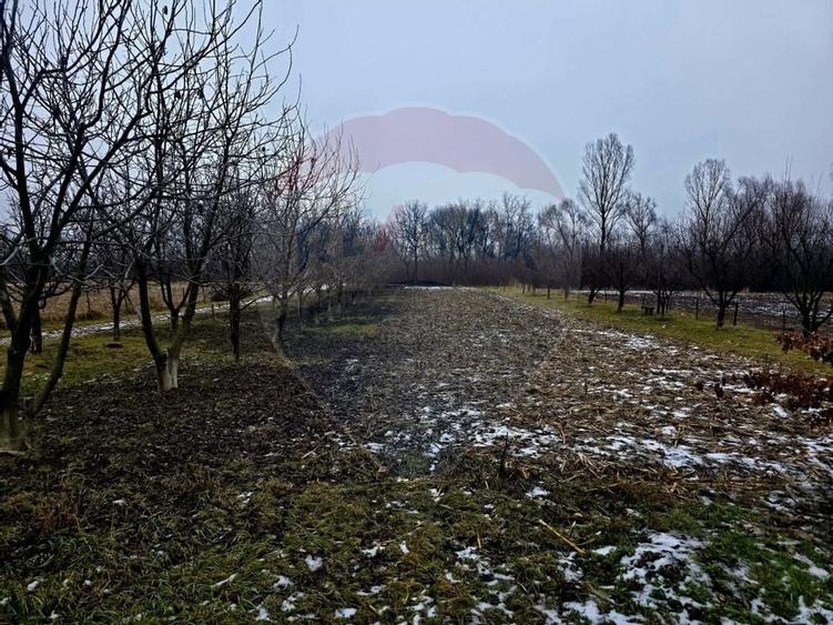 Teren intravilan 4,516mp Doina - 2