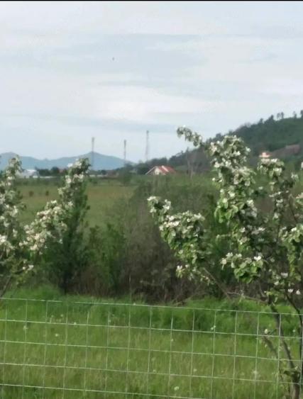 Vand teren in intravilanul ora?ului - 1