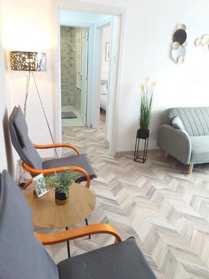 Vand apartament doua camere zona UBB - 8