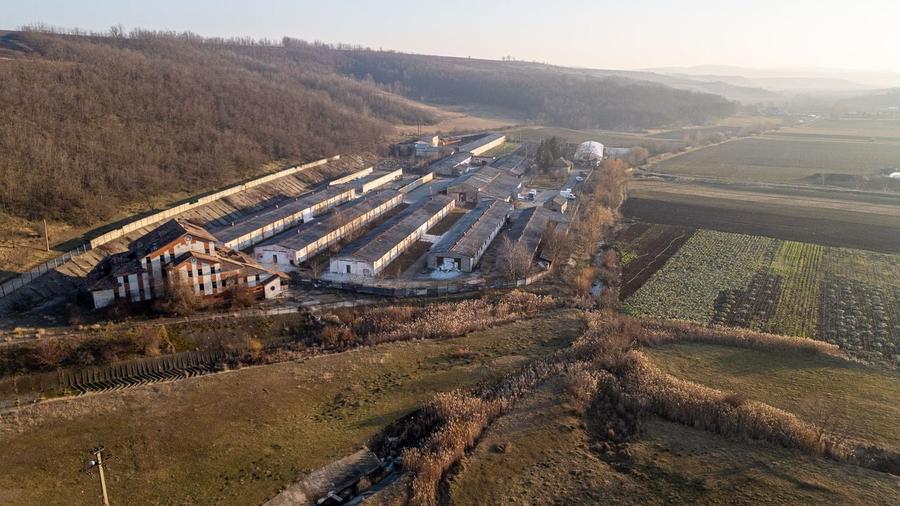 Fosta Ferma a Partidului de la Horgesti - de vanzare - 12