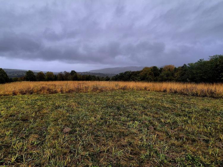 Comision 0%, teren extravilan 12497 mp Sinca Noua - 5