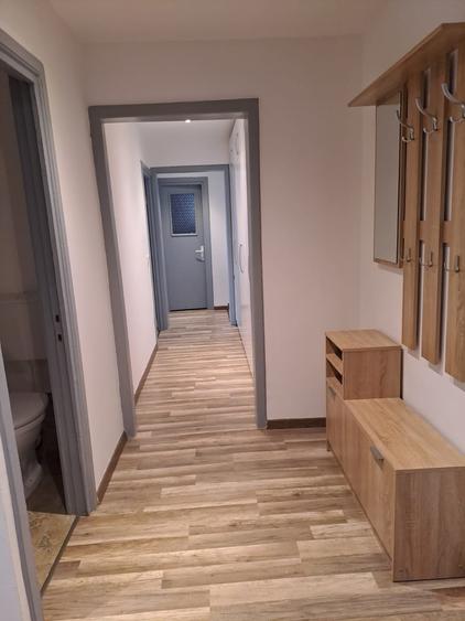 Calea Torontalului, apartament spatios, langa parc - 9