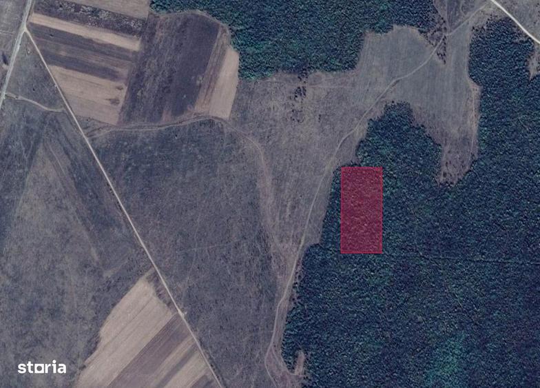 EXCLUSIVITATE: 20.000 mp teren impadurit langa Vi?ina, Dambovi?a - 1