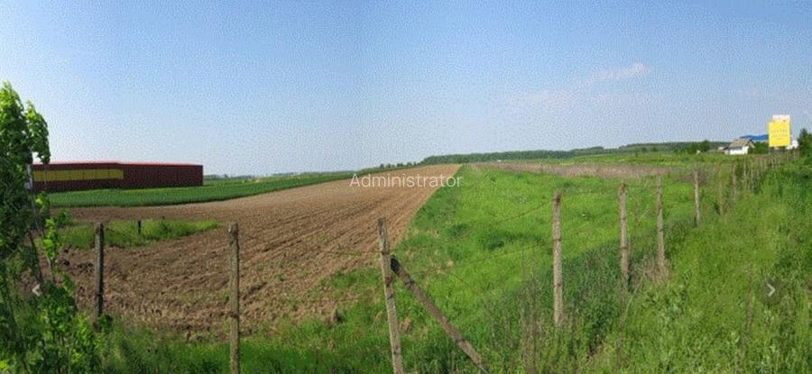 Teren Construcții intravilan de 25022 mp, în Afumați