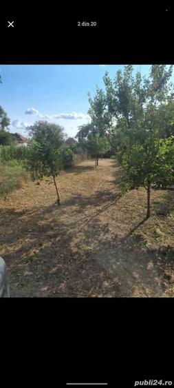 Casa de vinzare Peciu Nou - 4