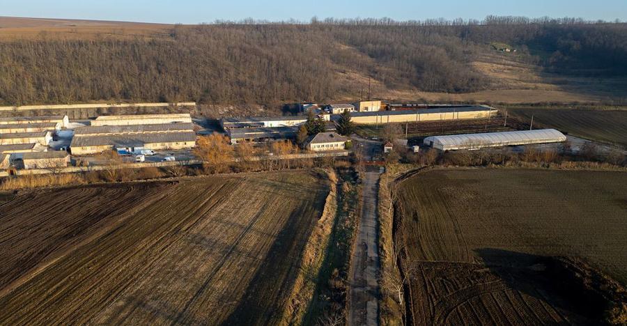 Fosta Ferma a Partidului de la Horgesti - de vanzare - 23