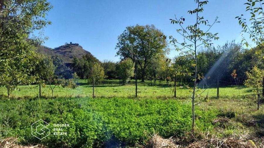 Casa cu 3 corpuri de cladire, localitatea Lipova - 8