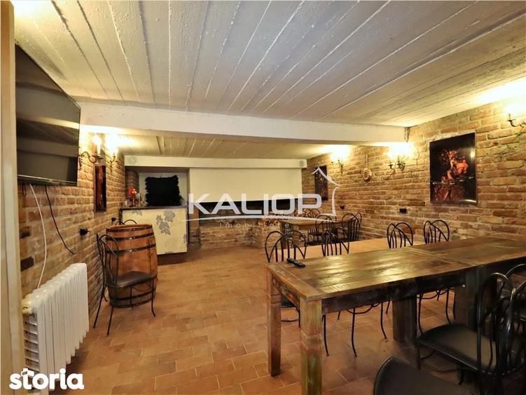 Casa individuala | 8 camere | 1200 mp | Piscina | Crama | Garaj | Fage - 10