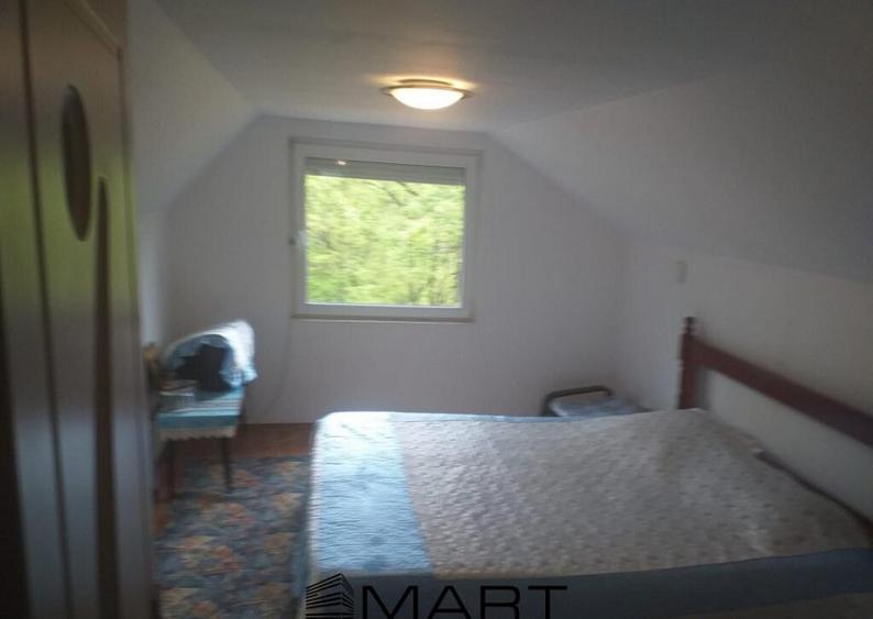 Teren extravilan 7432 mp, cu cabana de lemn Capalna AB - 2