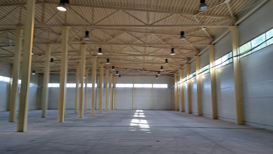 HALA DEPOZITARE CU ETAJ PARTIAL PENTRU BIROURI AMPLASAMENT: OTOPENI - 6