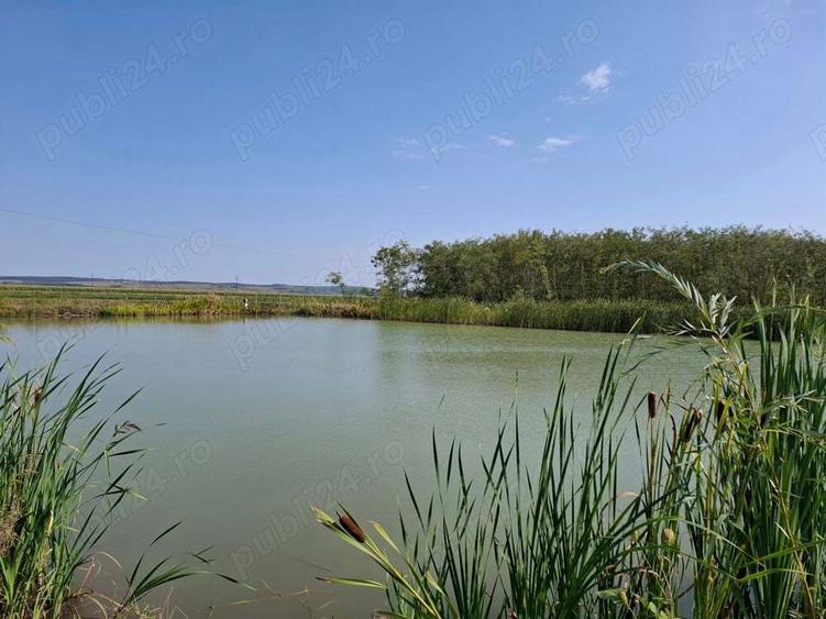 Casa cu lac in comuna Acas jud Saru Mare - 9