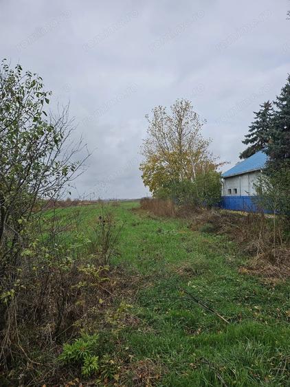 Comuna Butimanu (Decindea), Judet Dambovita, teren intravilan si extravilan - 3