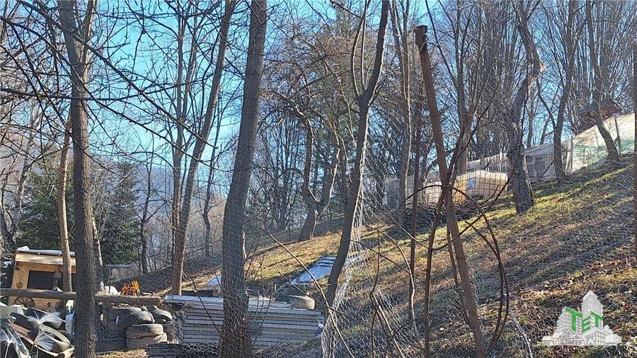 Teren Unic în Tarcau - Oportunitate pentru afacere cu potential turistic! - 2