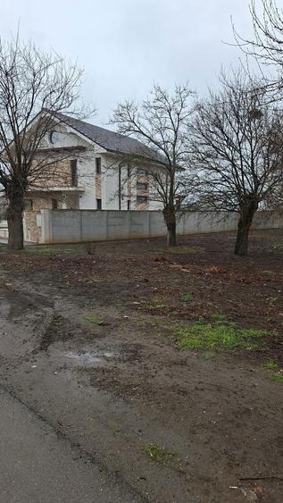 Teren intravilan 982 mp, 2 fronturi Ortisoara, utilitati complete - 1