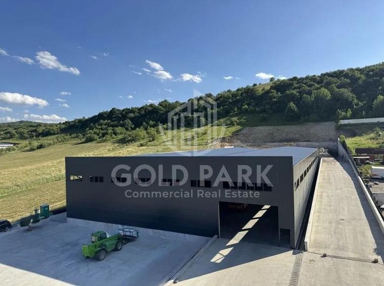 Spatiu Industrial - Baciu - 1400 mp - Plaftorma Betonata - Acces TIR - 3