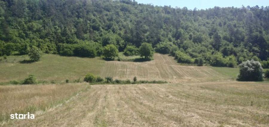 Vind terenuri extravilante in IVANESTI - 2