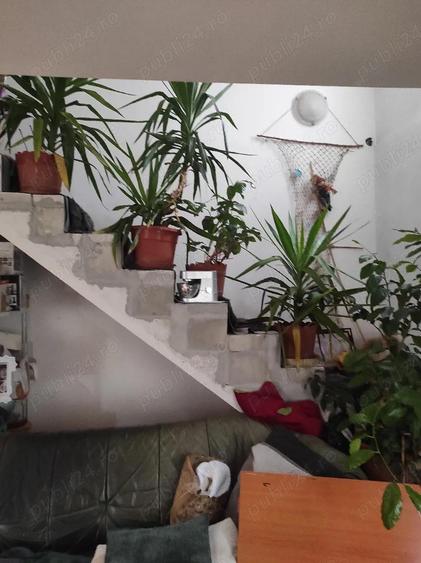 casa P + M, zona biserica din Ceangai - 2