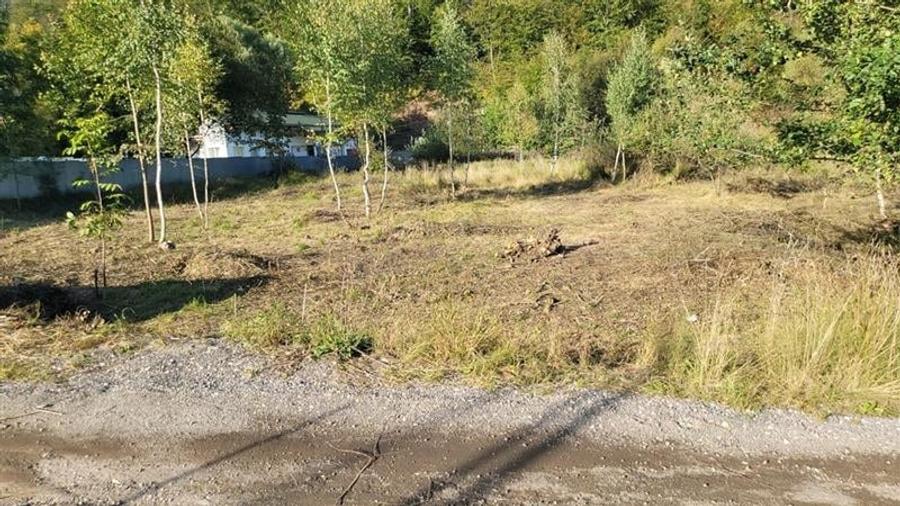 Teren intravilan, 699mp, Noua, Brasov - 2