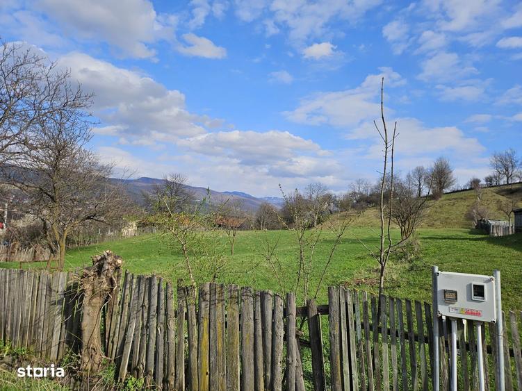 Teren intravilan Comanesti Bacau cu utilitati - 2