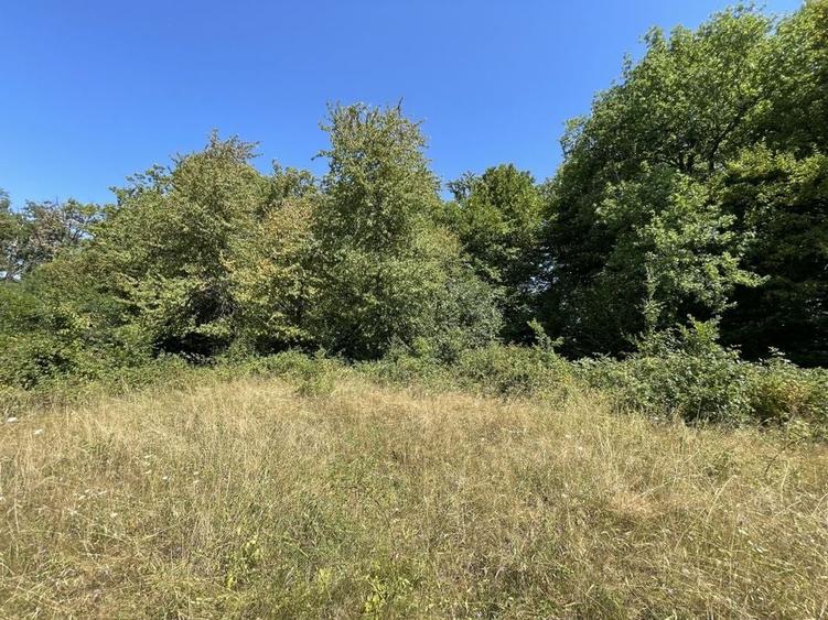 Teren Extravilan &icirc;n mijlocul naturii. - 20