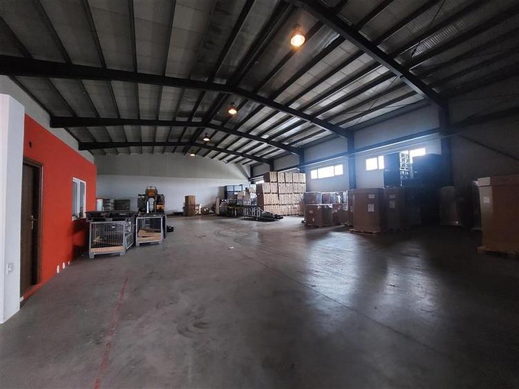 3 hale de inchiriat in Micalaca - 14