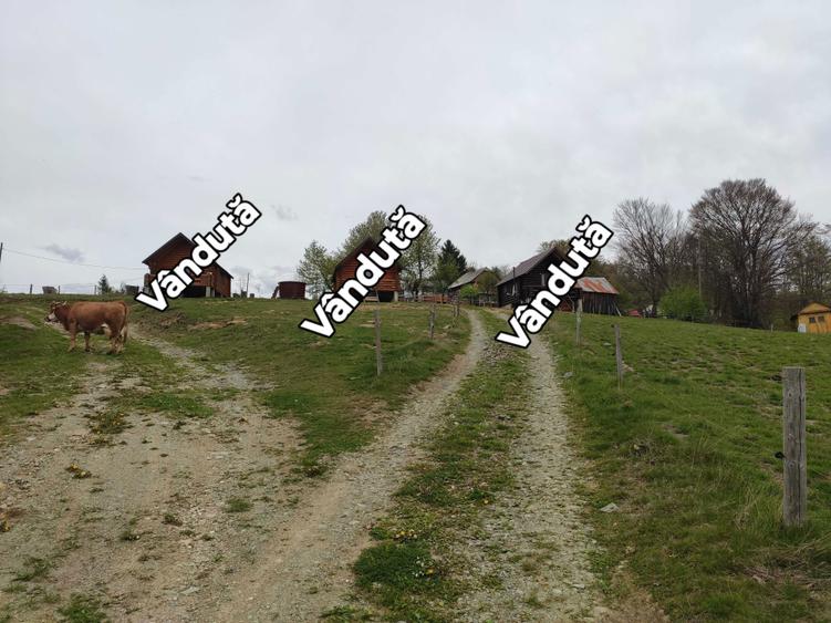 Vand Parcele in Arieseni - 4