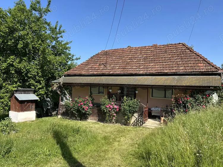 Vand casa de caramida sat Bodesti -comuna Halmagiu Arad - 1