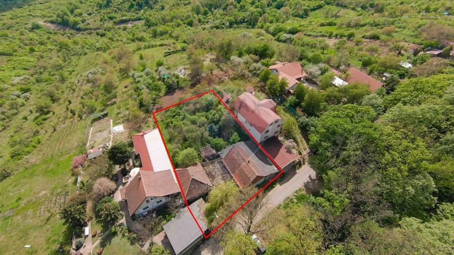 De vânzare casă și teren 1.425 mp - Podgoria - 10