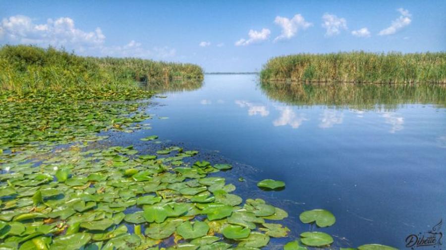 Ocazie , 18000 euro .Vând  Teren Sinoie Constanta - 1