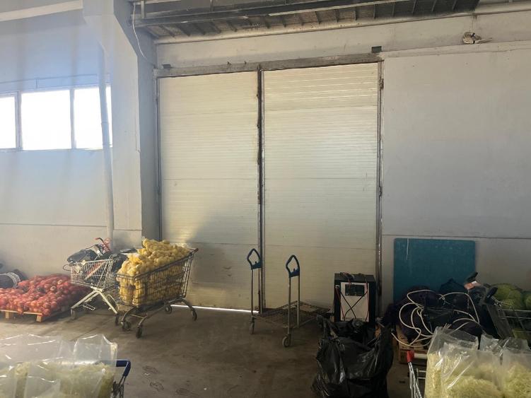 Hala industriala pentru depozitare sau productie in Danubiana - 8