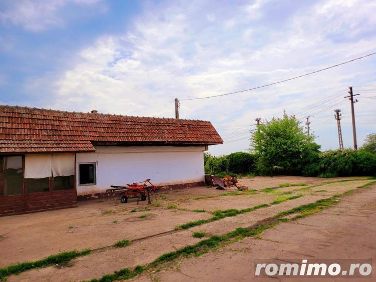 Domeniu, 9,5 ha, 25 KM de Timisoara - 16