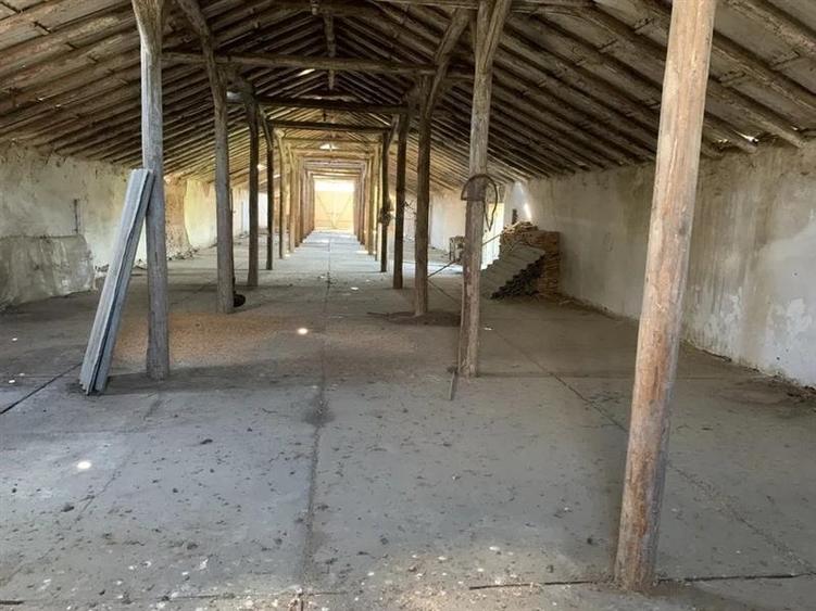 Spatiu Industrial multifunctional: productie, depozitare,logistica, Raciu, Mures - 5