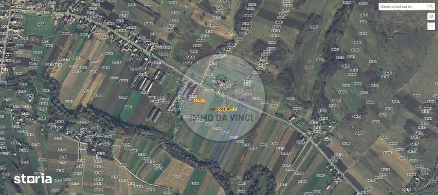 Pachet investitie terenuri Bor?a Cluj 37.839 mp | 12.039 mp intravilan - 13