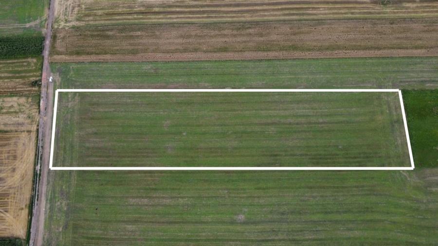 Teren industrial  Codlea – intravilan, ideal hala/depozit/ logistica - 3