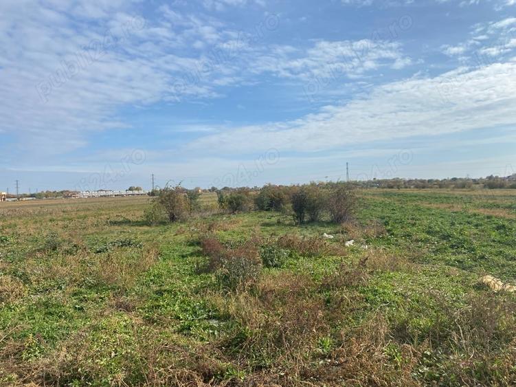 Teren de 3700 mp, în Mărăcineni