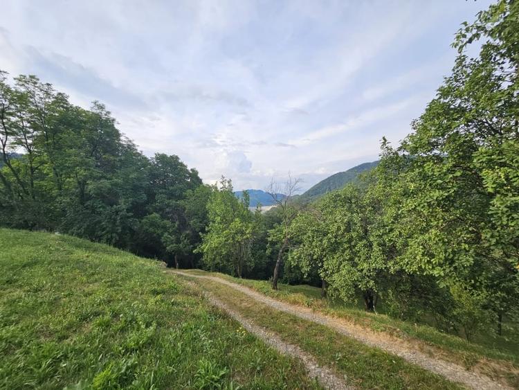 TEREN DE VANZARE SECIURI - 8