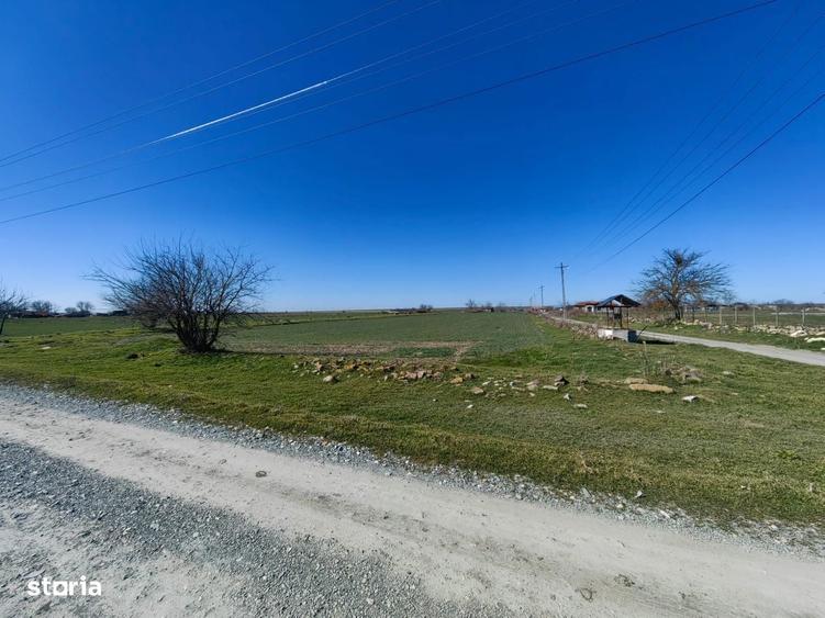 Teren 7.061 mp de vanzare Dropia, Tortomanu | 5/mp | Parcelabil - 6